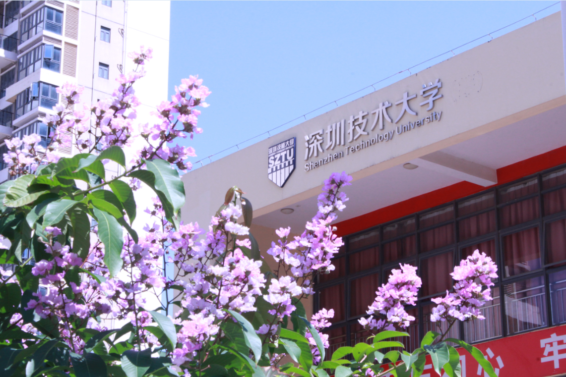 2019午夜色情免费视频團體標準啟動儀式