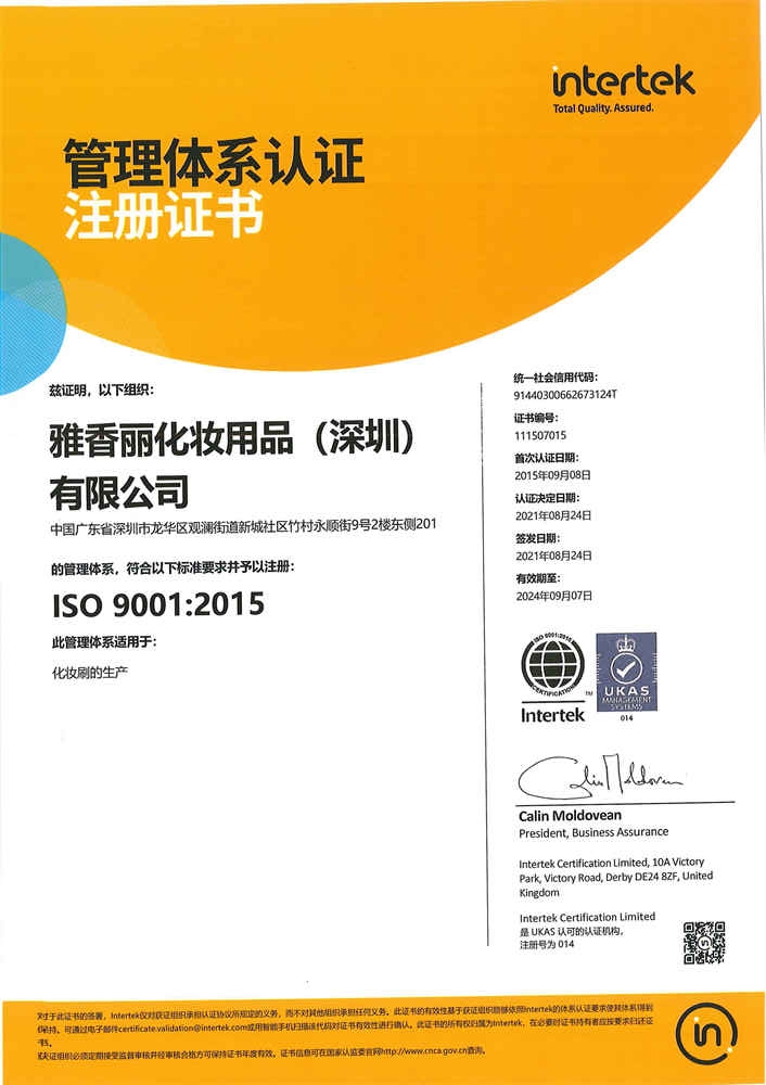 ISO9001：2015 中文